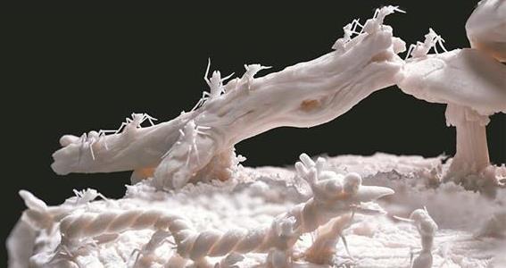 “中国白——德化白瓷展”在中国国家博物馆展出